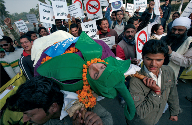 《自然》特刊：亚洲和非洲需要转基因作物吗？