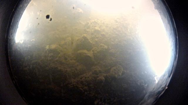 去南极，到万年寒冰之下去寻找生命