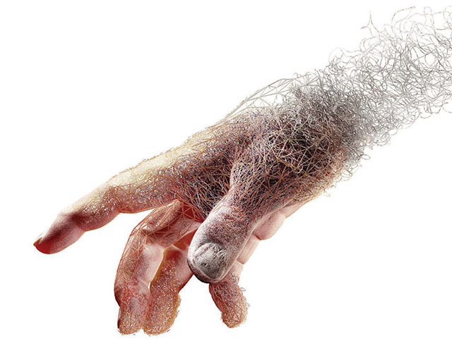 再生不是梦：用Matrix重建你的身体