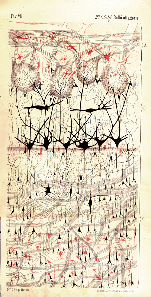 诺贝尔生理学奖得主画作：灵魂的蝴蝶