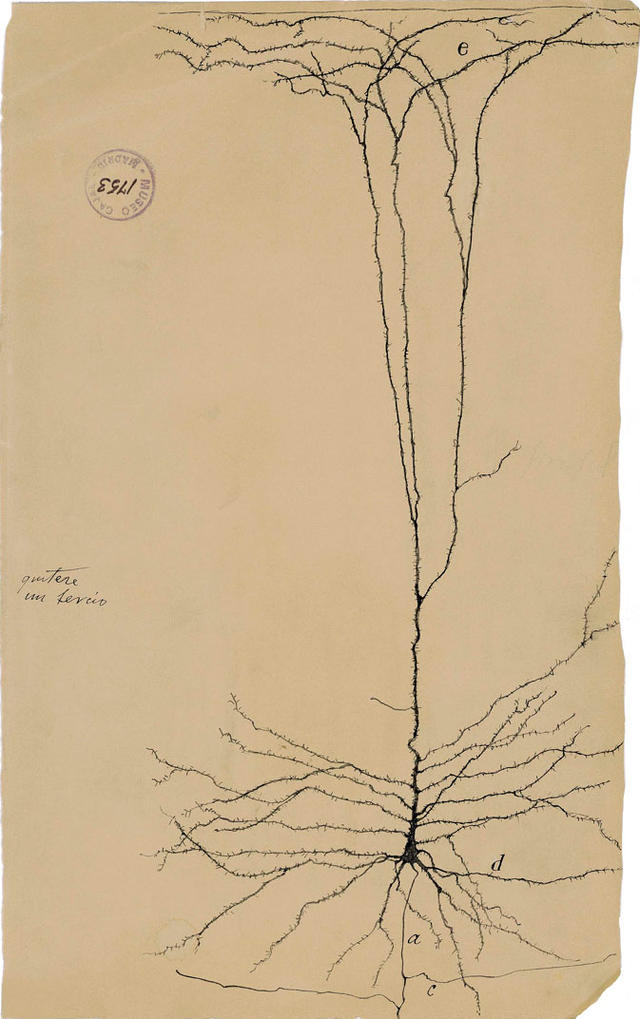 诺贝尔生理学奖得主画作：灵魂的蝴蝶