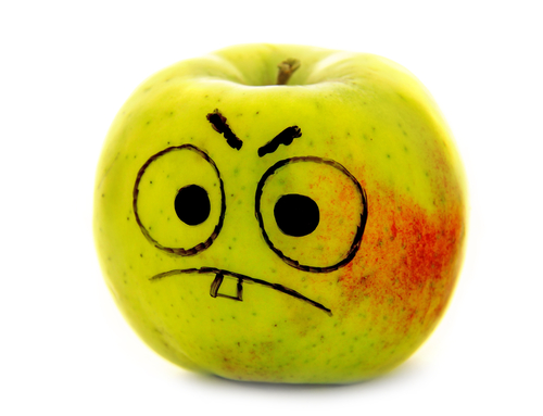 你记得你吃了什么吗？（下篇）