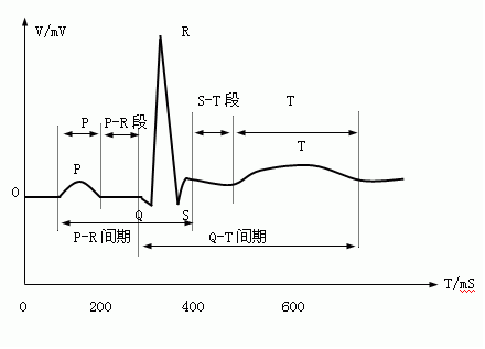 窦性心率不齐别着急，跟着豪斯医生学看心电图