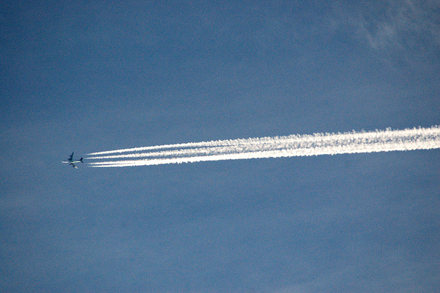 如果有人想在你的头顶洒硫酸