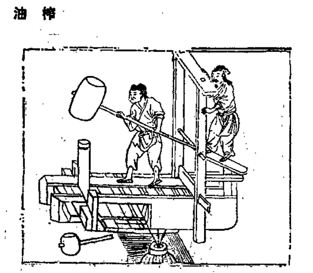 中国古代人吃什么油？