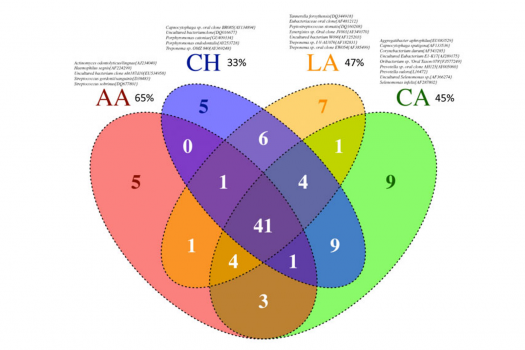 牙龈下的“指纹”：因人而异的口腔菌群