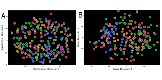 牙龈下的“指纹”：因人而异的口腔菌群