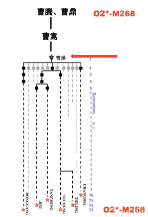 家族DNA揭秘，曹操身世之谜告破！