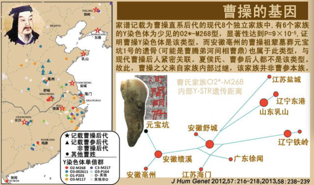 家族DNA揭秘，曹操身世之谜告破！