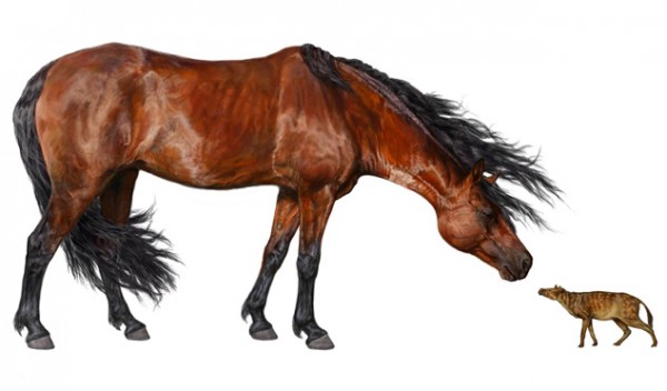 气候变暖，人类变矮？