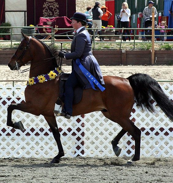 气候变暖，人类变矮？