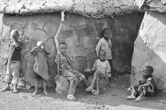 你的孤独基因懂