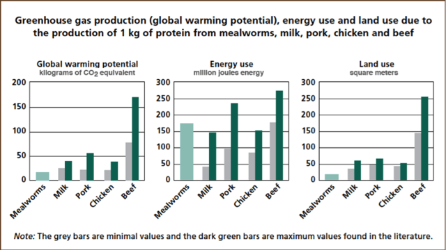 今天晚餐，来盘虫子吧！（虫恐慎入）