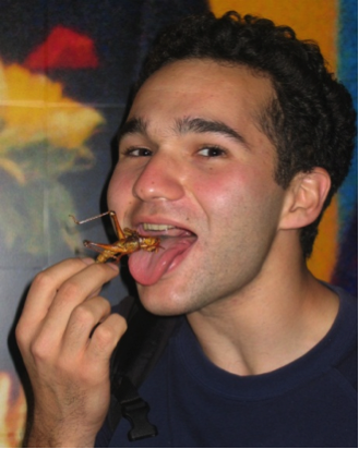 今天晚餐，来盘虫子吧！（虫恐慎入）