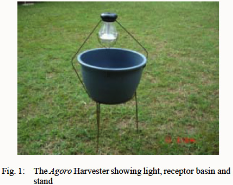 今天晚餐，来盘虫子吧！（虫恐慎入）