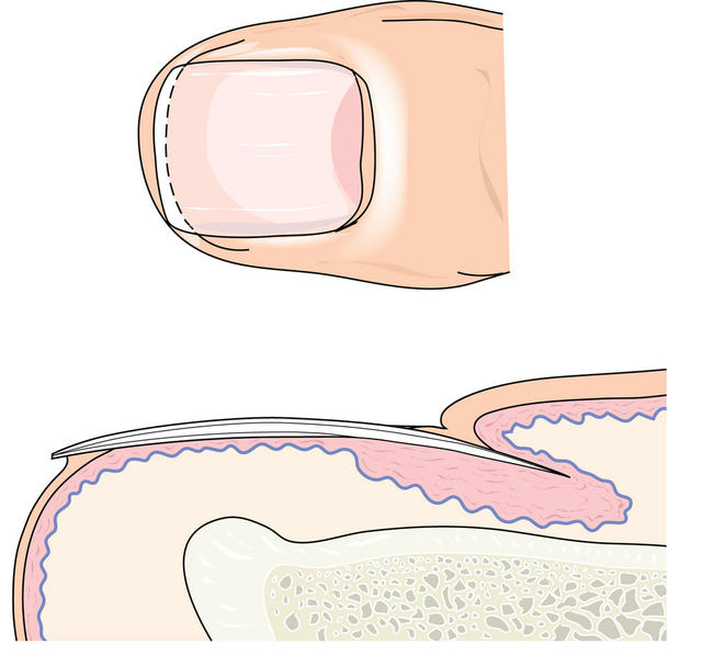 【果壳3周年】健康站盘点，秀“肌肉”