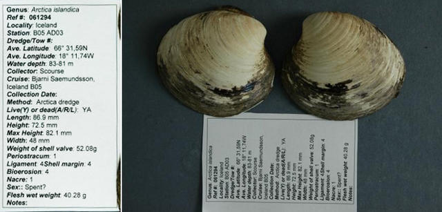 “明”死了，是科学家在乱搞吗？