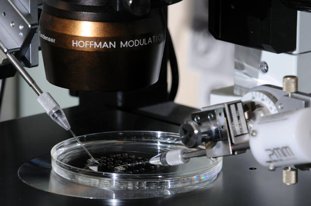 【论文背后的故事】Y染色体，生殖有多需要你