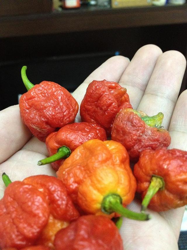 作为一个geek，你必须要学会回答：你到底有多爱我？