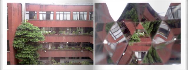 当镜头遇上万花筒，化蝶寻花栖芳草