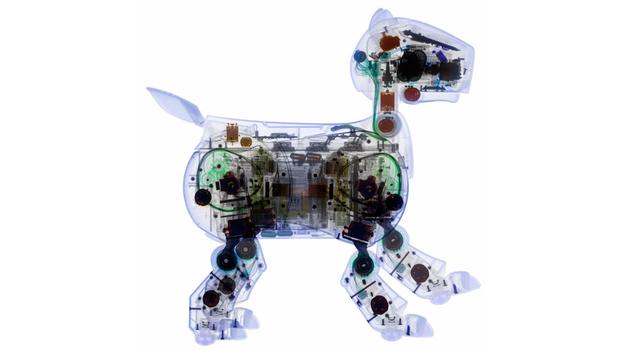 “杀死”一个机器人，会有什么问题？