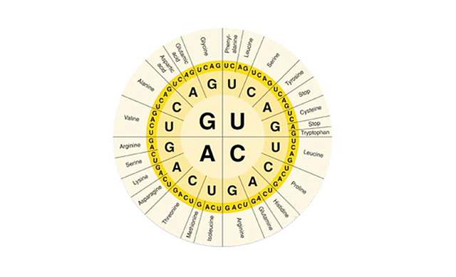 创造从未有过的的生命
