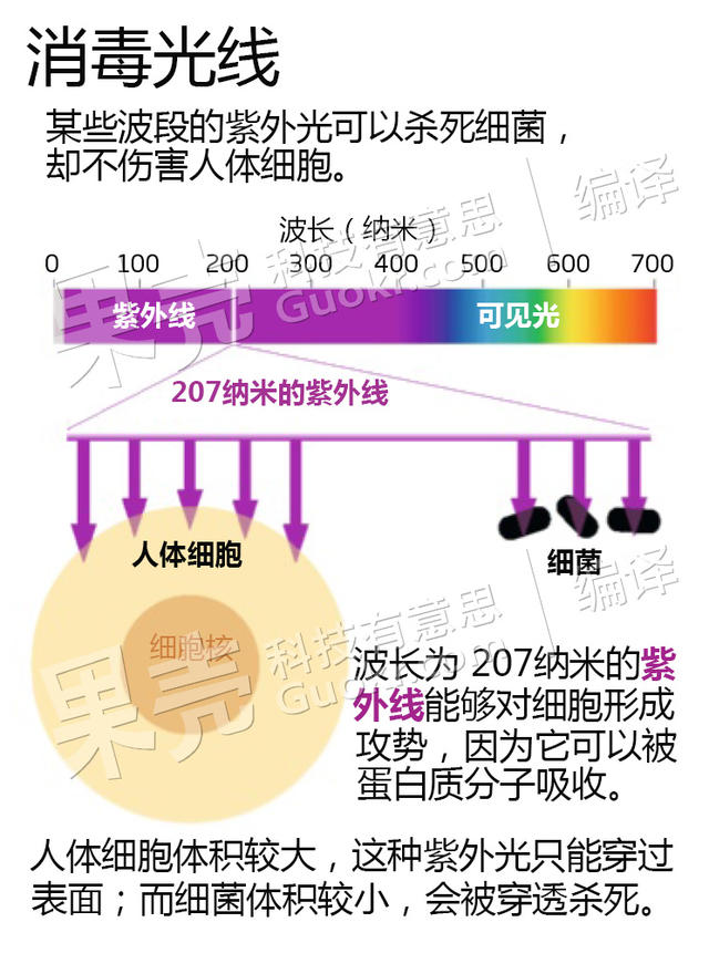 新鲜空气+阳光：被遗忘的“抗生素”