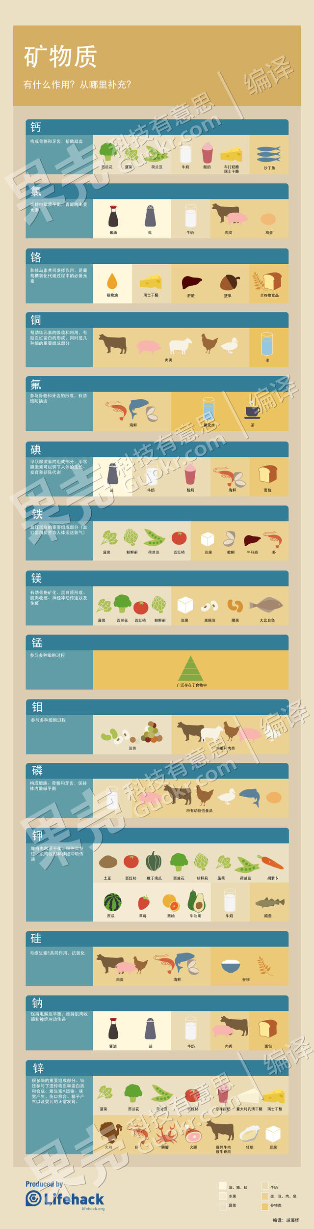 【信息图示】维生素ABCDE，都在哪些食物里？