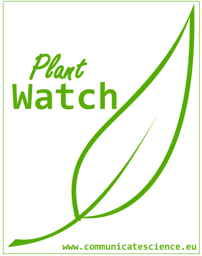 【圣诞特稿】你应该知道的17个圣诞科学小知识