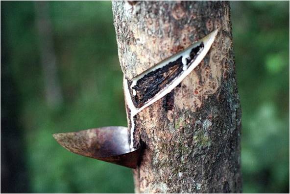 墙里墙外，好色都是学问