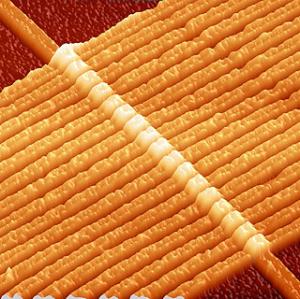 2014年，科技界将会发生哪些大事件？