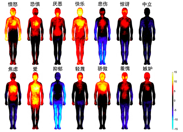 “情绪地图”：当你感受快乐时，你的身体感受些什么