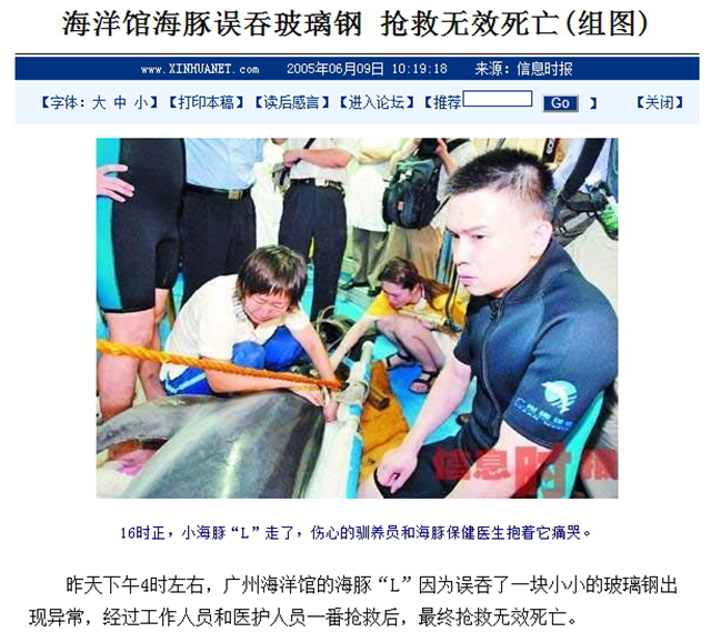 海豚湾的悲剧，我们都有责任