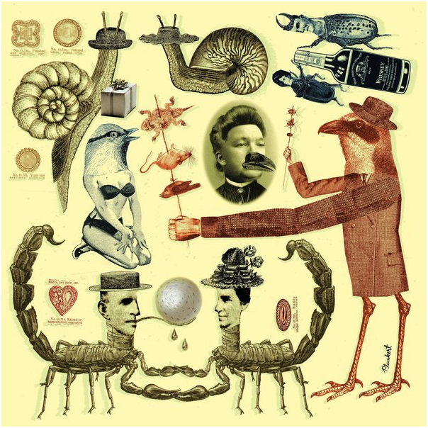 动物也会送礼：致我生命中唯一的爱虫