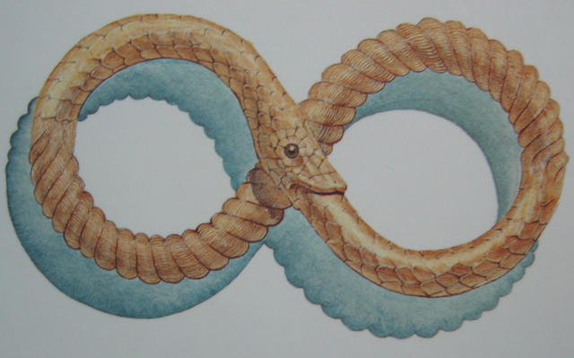 癌细胞自噬：釜底抽薪还是自取灭亡？