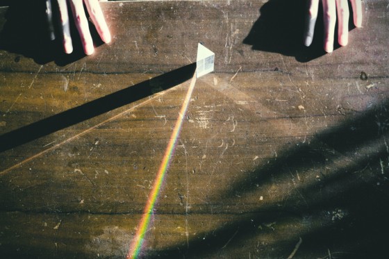 折射定律，蚂蚁也懂