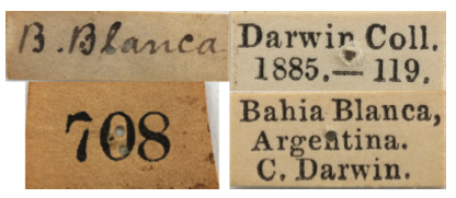 生日快乐，达尔文！