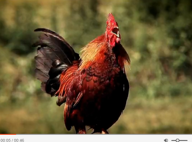 情人节，来学习《性爱大师》中的性暗示吧