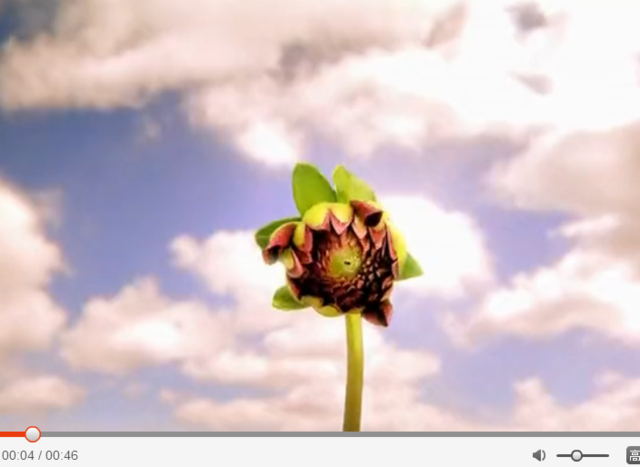 情人节，来学习《性爱大师》中的性暗示吧