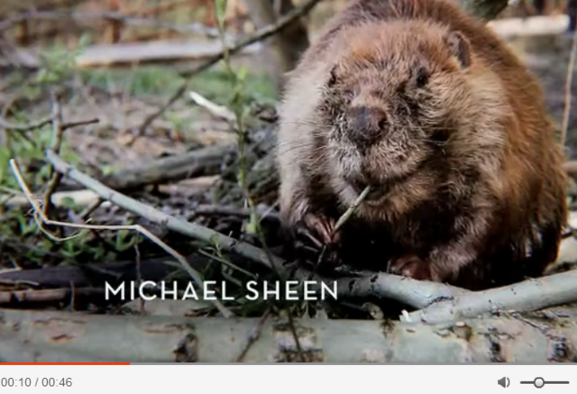 情人节，来学习《性爱大师》中的性暗示吧