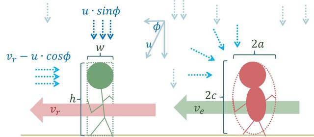 大和尚的因材施教：胖瘦不同体型在雨中行走的最佳策略