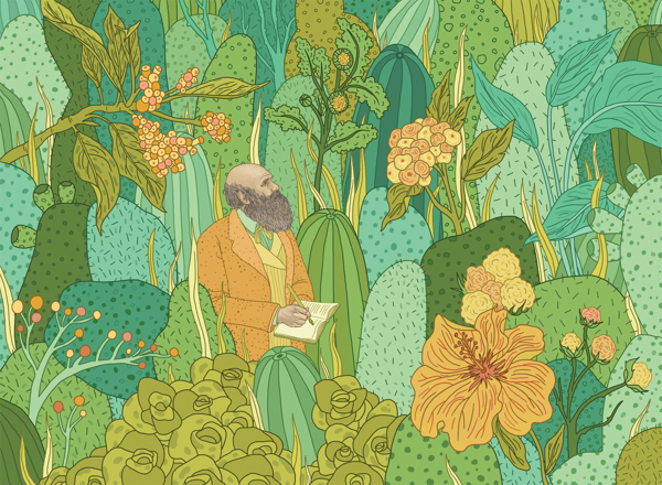 以美之名，重读达尔文