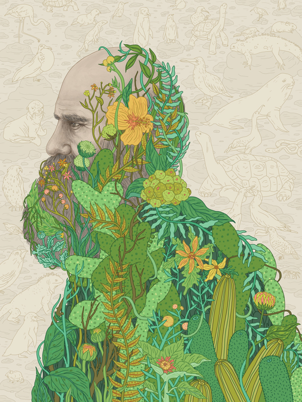 以美之名，重读达尔文