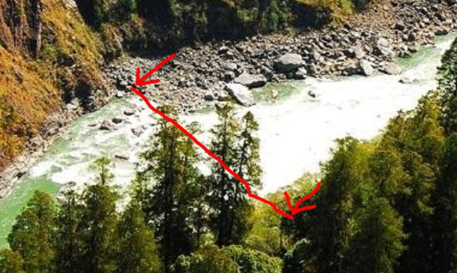 寻找中国最高的树