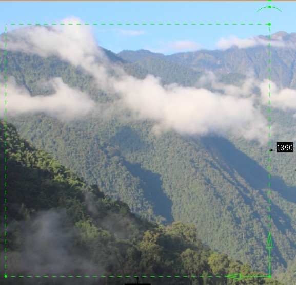 寻找中国最高的树