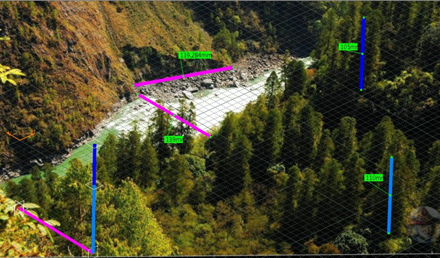 寻找中国最高的树