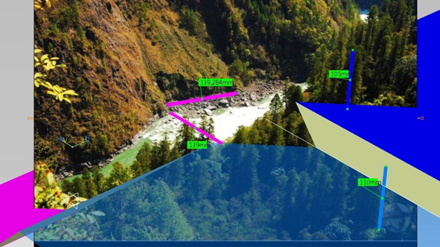 寻找中国最高的树