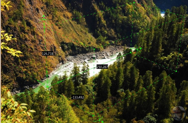 寻找中国最高的树