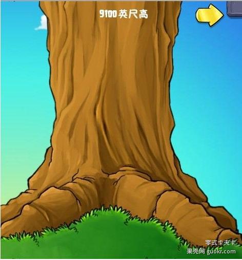 寻找中国最高的树