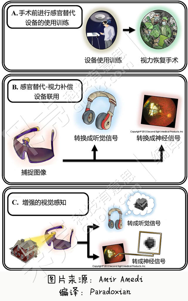 我眼前是一幅动听的画面